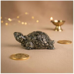 Pyrite Tortoise