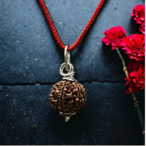 7 Mukhi nepali rudraksha