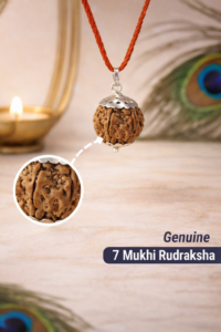 Rudrakha